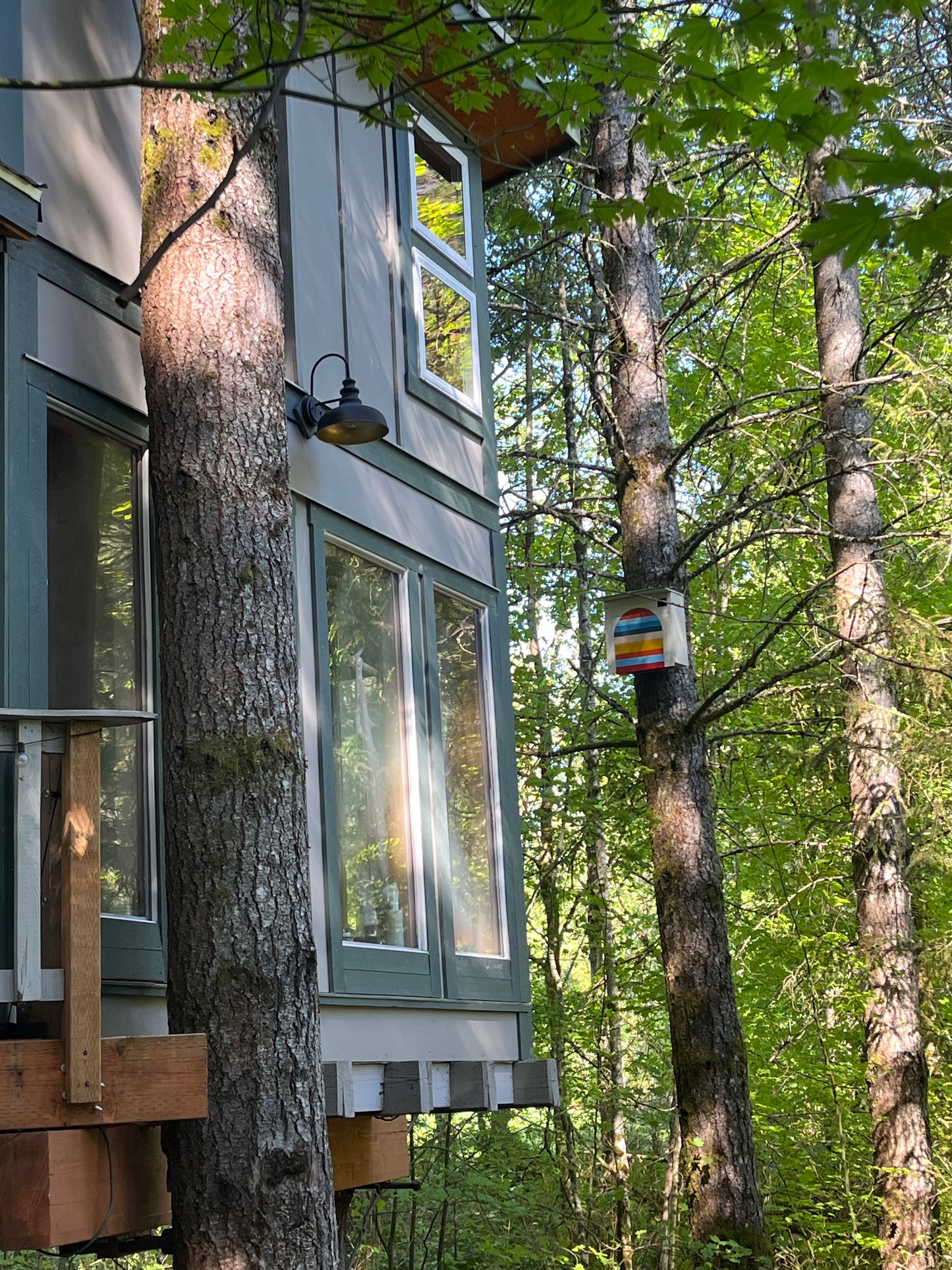 Mama Moon Treehouse Rental