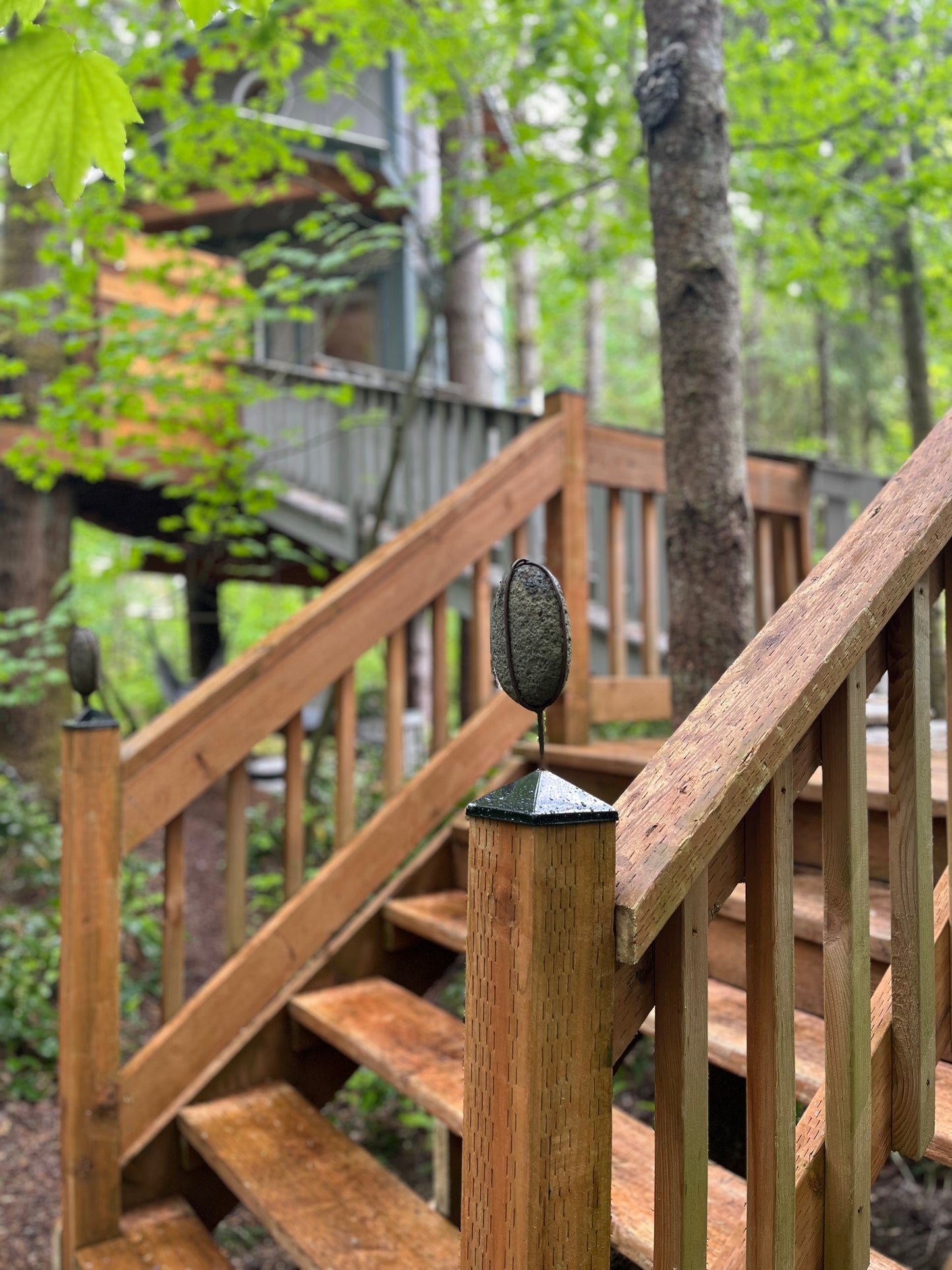 Mama Moon Treehouse Rental