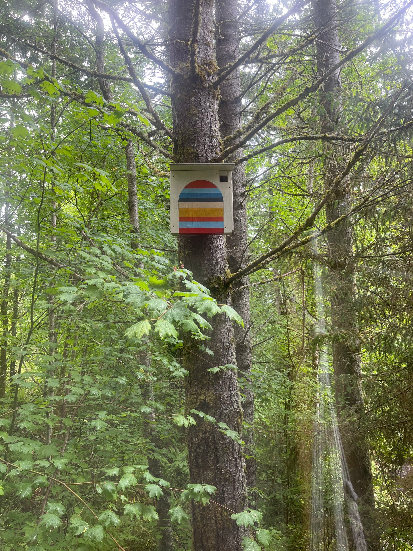 Mama Moon Treehouse Rental