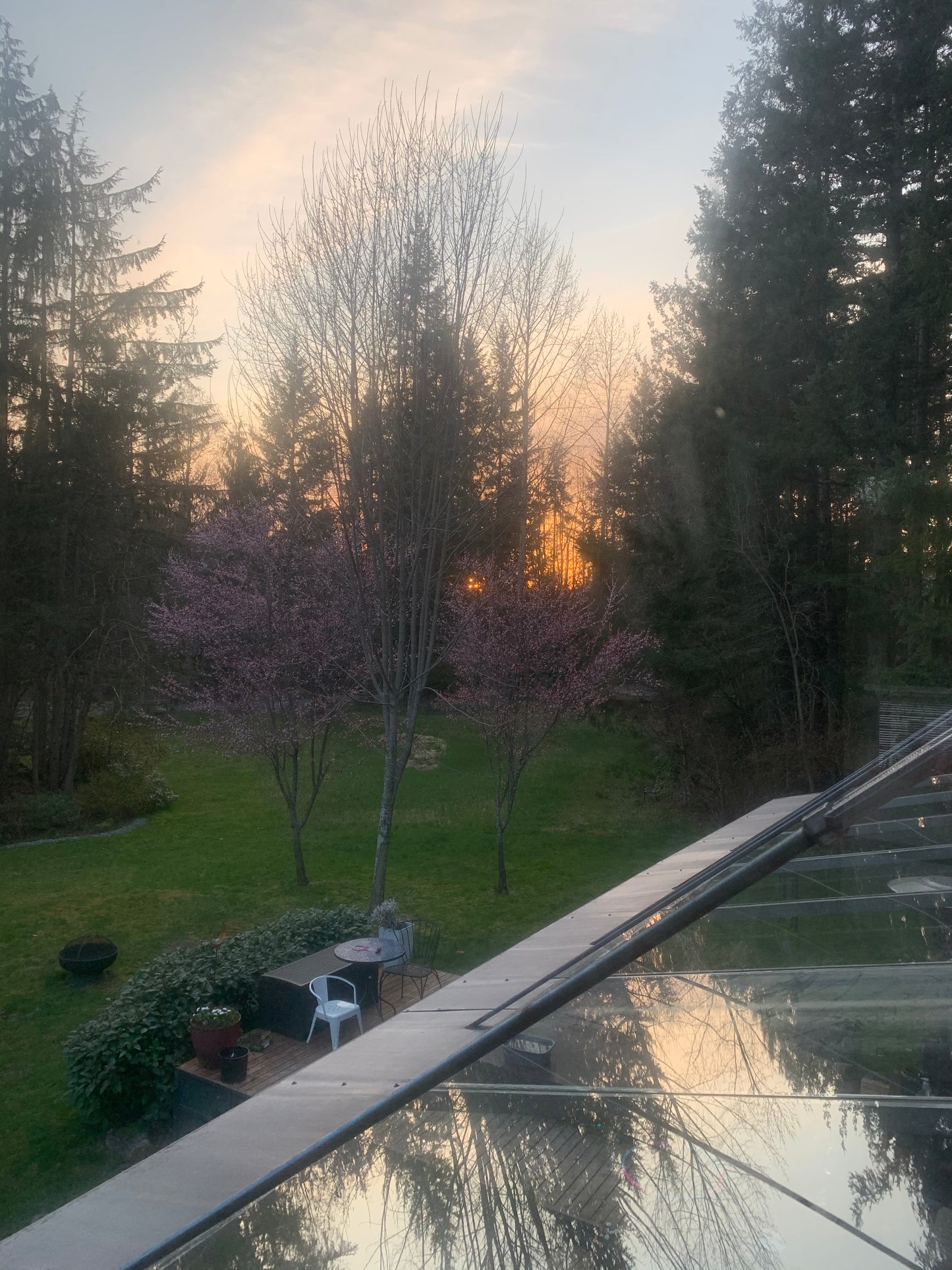 Mama Moon Treehouse Rental