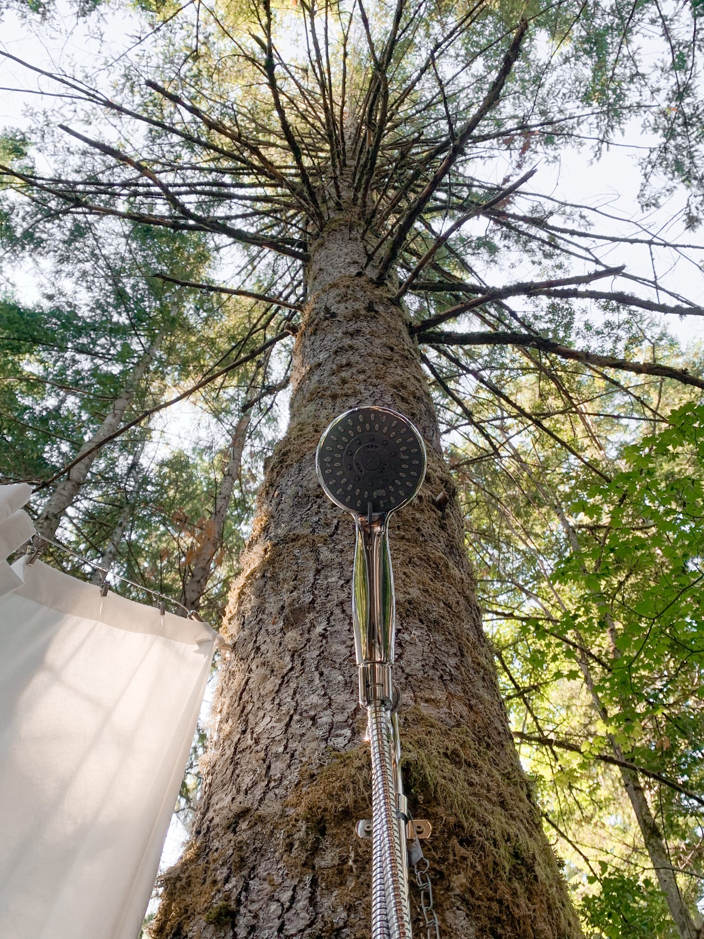 Mama Moon Treehouse Rental