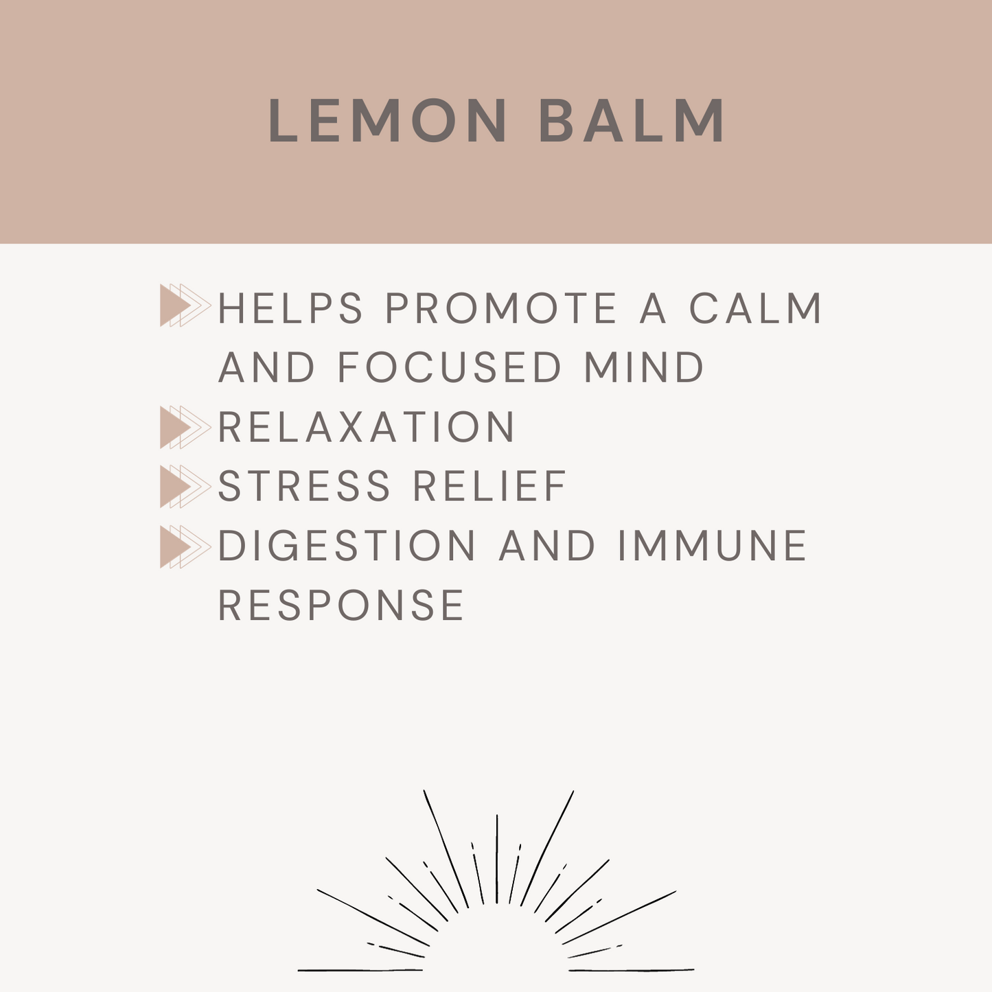 Lemon Balm Tincture (used for)