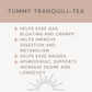 Tummy Tranquili-TEA Herbal Tea Blend
